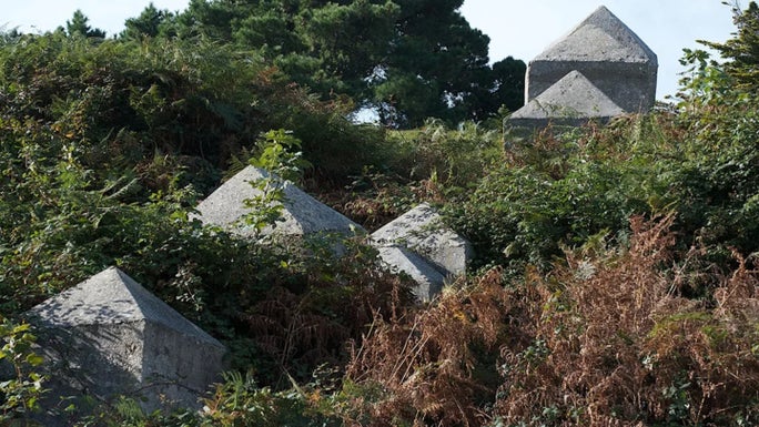 Pointed concrete blocks protrude from bracken at Studland Bay, Dorset